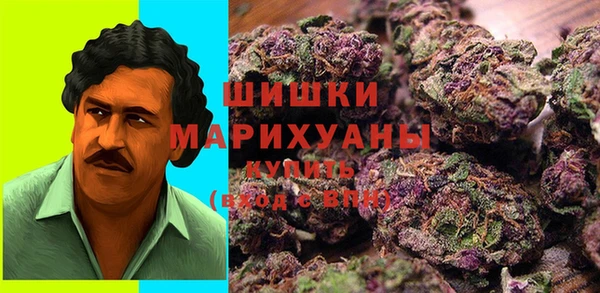 Альфа ПВП Нея