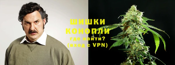 Альфа ПВП Нея