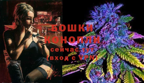 прущие грибы Новодвинск
