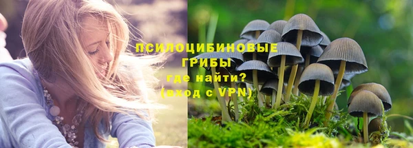 Альфа ПВП Нея